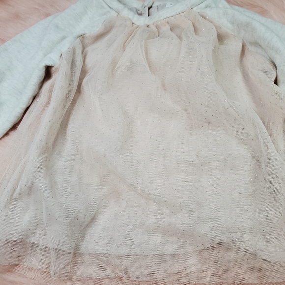 Baby Gap Shirt with Sheer Pink Glittery Overlay - Picture 2 of 8